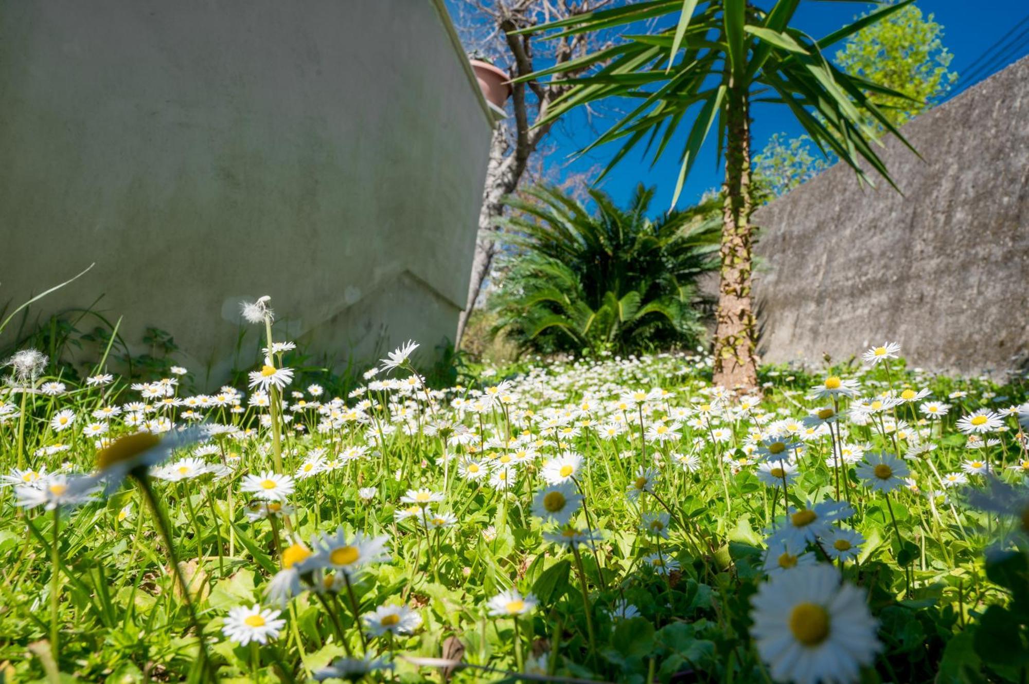 Apartment Lana Tivat Exterior foto